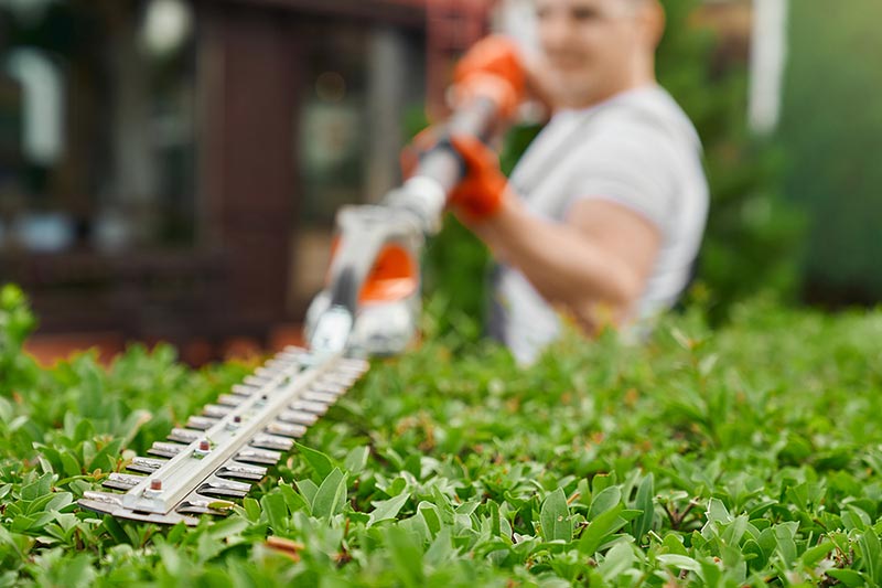 Maintenance & Gardening Services