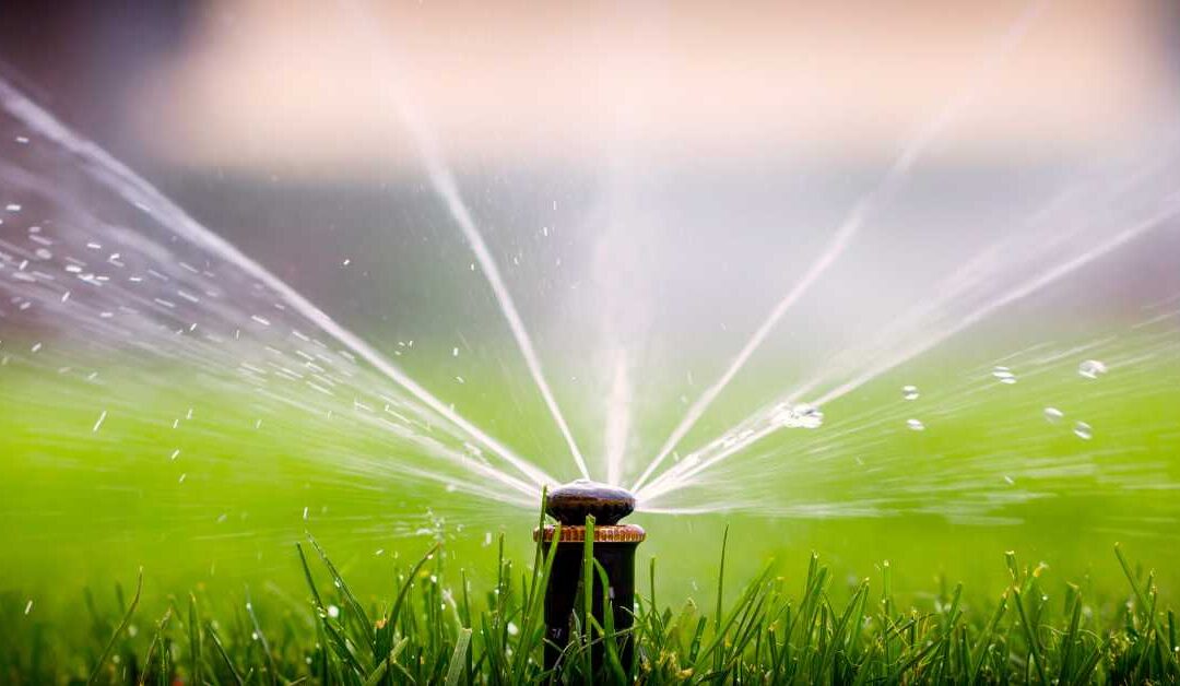 Signs Your Irrigation System Needs an Upgrade or Repair