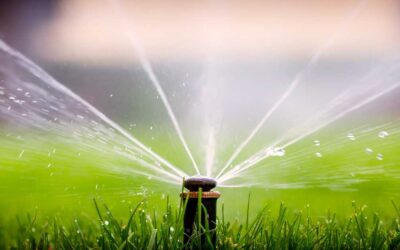 Signs Your Irrigation System Needs an Upgrade or Repair