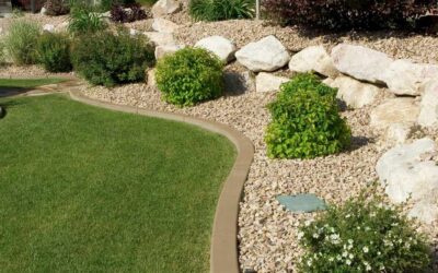 What is the Best Types of Landscaping for My Yard & Their Benefits