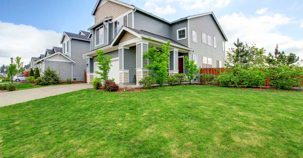 Different Grass Types for CA Weather