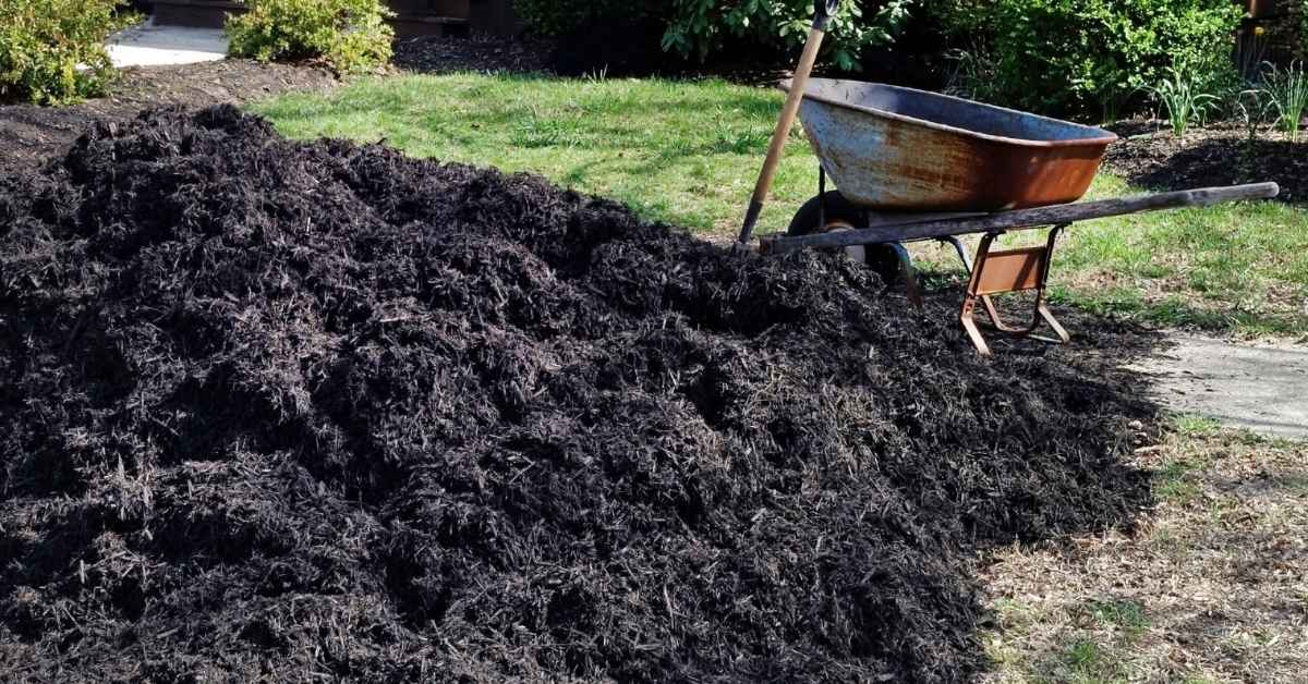 How to Use Mulch the Right Way