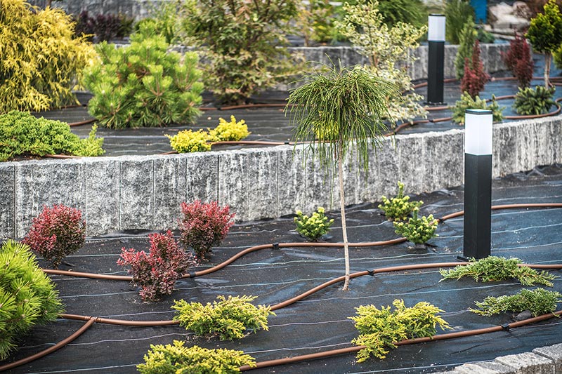 Landscaper Long Beach