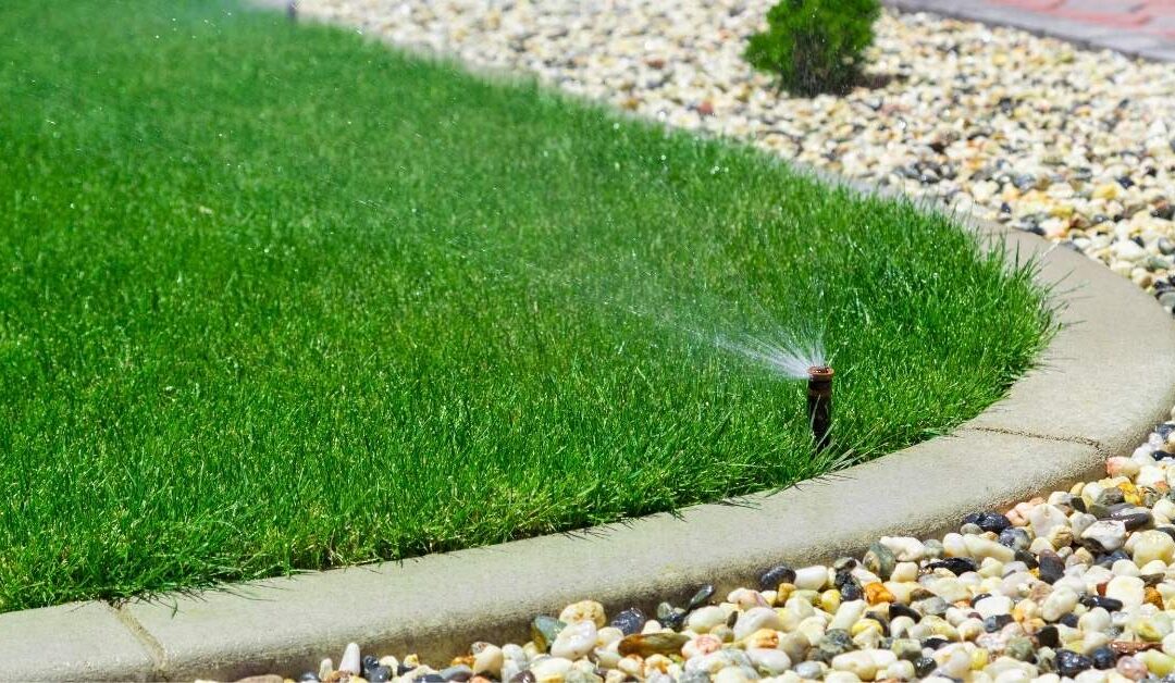 Common Sprinkler Problems Homeowners Shouldn’t Ignore